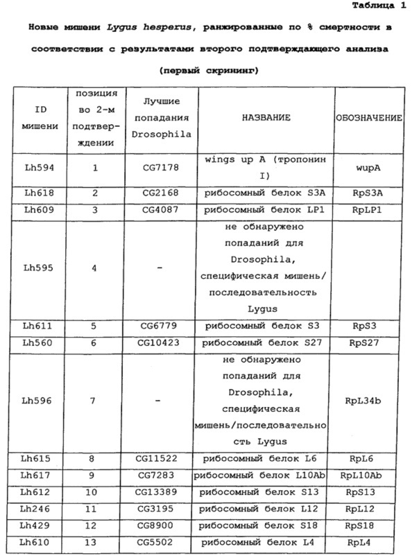 Подавление экспрессии генов у насекомых-вредителей (патент 2665549)