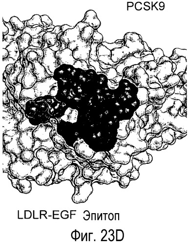 Антагонисты pcsk9 (патент 2528735)
