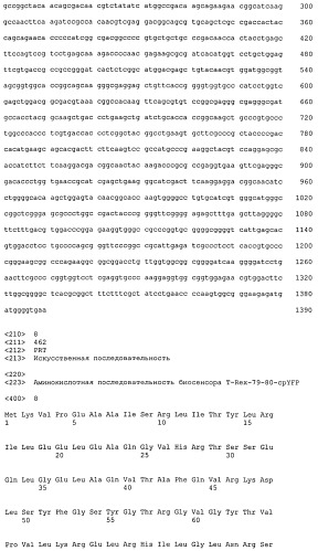 Выделенная нуклеиновая кислота, кодирующая флуоресцентный биосенсор, кассета экспрессии, клетка продуцирующая флуоресцентный биосенсор, выделенный флуоресцентный биосенсор (патент 2515903)