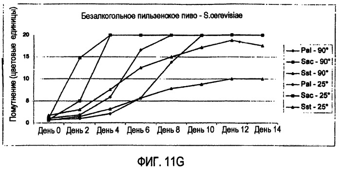 Микробиологически стабилизированное пиво (патент 2380400)