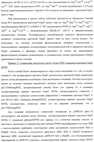 Способ расщепления полипептидов с использованием варианта протеазы оmpт (патент 2395582)