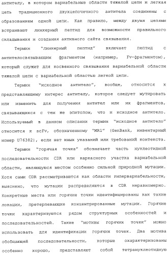 Scfv против egfrviii с улучшенной цитотоксичностью и выходом, иммунотоксины на их основе и способы их применения (патент 2317999)