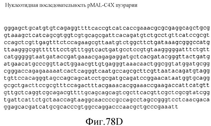 Варианты изопренсинтазы, применяемые для улучшения продуцирования изопрена микроорганизмами (патент 2516343)
