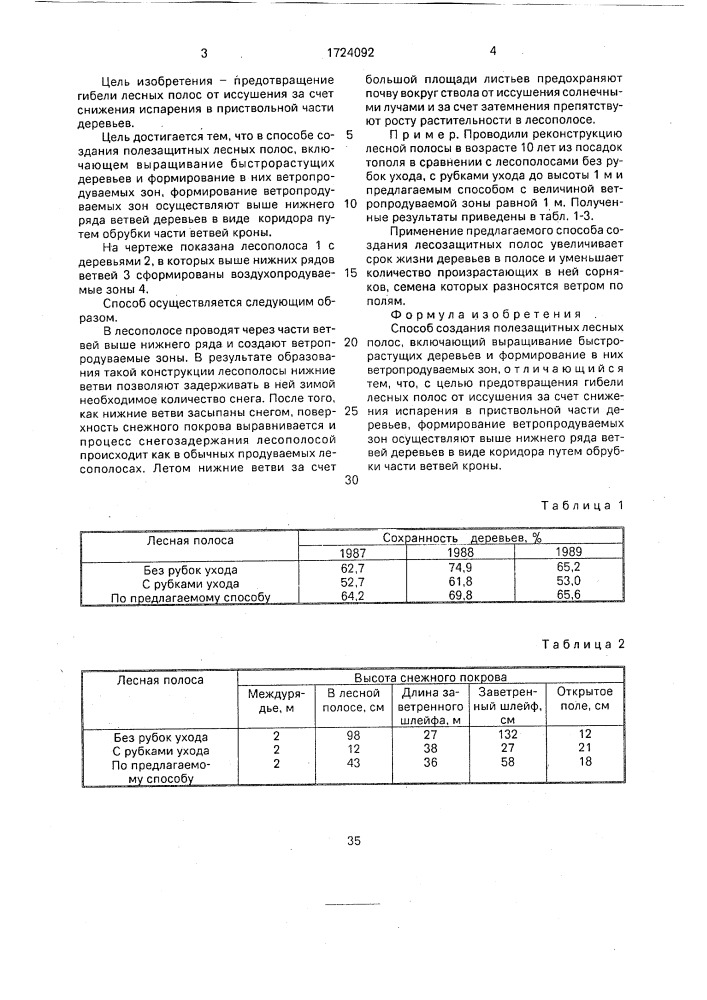 Способ создания полезащитных лесных полос (патент 1724092)