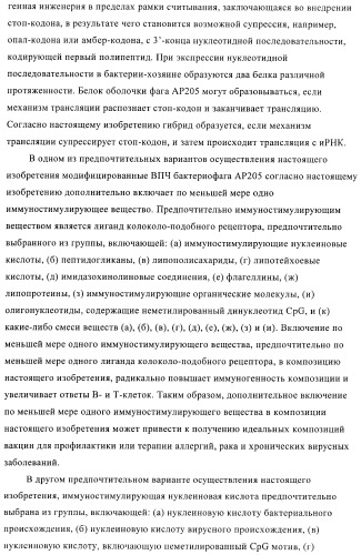 Вирусоподобные частицы, включающие гибридный белок белка оболочки бактериофага ар205 и антигенного полипептида (патент 2409667)