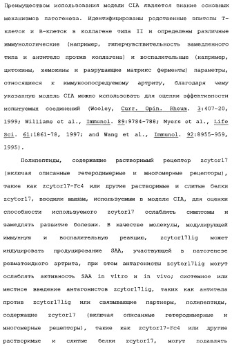 Новый лиганд рецептора цитокина zcytor17 (патент 2360923)