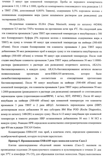 Scfv-антитела, которые проходят через эпителиальный и/или эндотелиальный слои (патент 2438708)