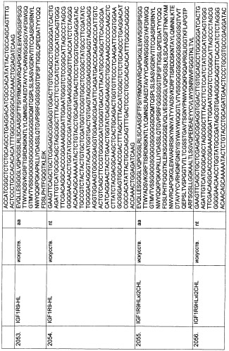 Pscaxcd3, cd19xcd3, c-metxcd3, эндосиалинxcd3, epcamxcd3, igf-1rxcd3 или fap-альфаxcd3 биспецифическое одноцепочечное антитело с межвидовой специфичностью (патент 2547600)