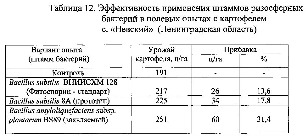 Штамм бактерий bacillus amyloliquefaciens subsp. plantarum bs89 в качестве средства повышения продуктивности растений и их защиты от болезней (патент 2599416)