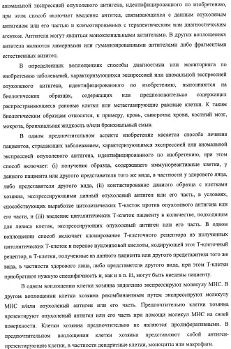 Идентификация опухолевых антигенов для диагностики и терапии (патент 2485974)