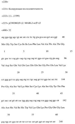 Модифицированное агонистическое антитело (патент 2295537)