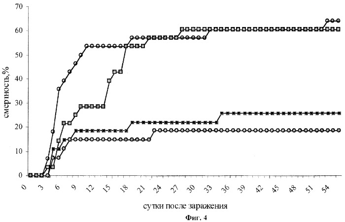 Ген гликопротеина (g-ген) российского референсного штамма зл-4 вируса весенней виремии карпа и рекомбинантные плазмидные днк pcdna-g и pbacarpvax-g, экспрессирующие ген гликопротеина и обеспечивающие развитие защитного иммунитета у рыб против заражения вирусом весенней виремии карпа (патент 2287582)