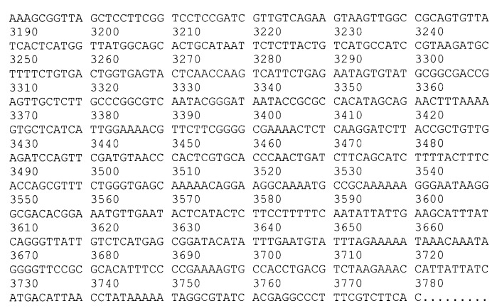 Рекомбинантная плазмида pesat6-cfp10-dbd, рекомбинантный штамм escherichia coli m15 [prep4, pesat6-cfp10-dbd], способ получения, иммобилизации, концентрирования и очистки рекомбинантного белка esat6-cfp10-dbd на декстране, рекомбинантный белок esat6-cfp10-dbd и иммуногенная композиция, содержащая белок esat6-cfp10-dbd (патент 2539026)