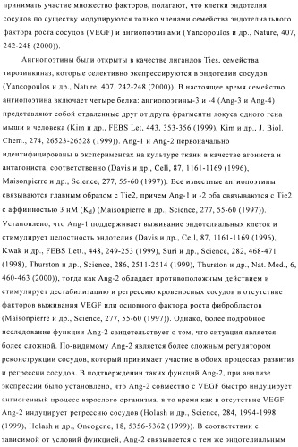 Стабилизированные антитела против ангиопоэтина-2 и их применение (патент 2509085)