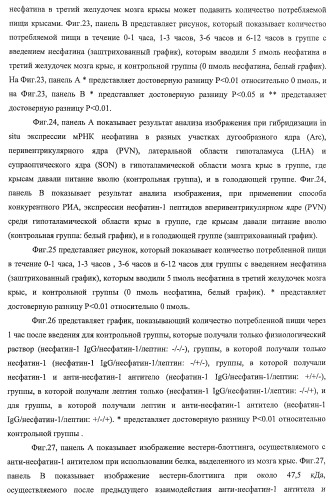 Способ получения фактора, связанного с контролем над потреблением пищи и/или массой тела, полипептид, обладающий активностью подавления потребления пищи и/или прибавления в весе, молекула нуклеиновой кислоты, кодирующая полипептид, способы и применение полипептида (патент 2418002)