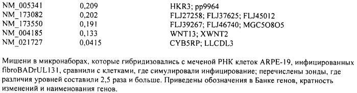 Вакцина против цитомегаловируса и способ ее получения (патент 2491340)