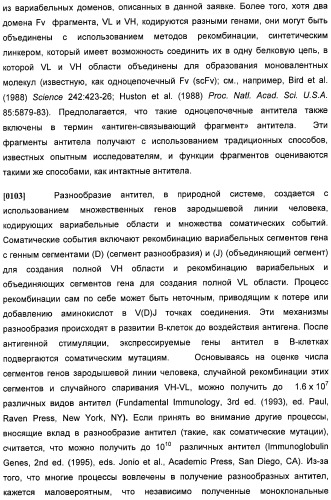 Антитела против интерлейкина-13 человека и их применение (патент 2427589)