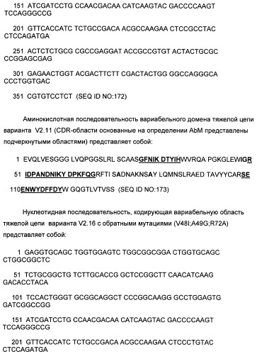 Il-13 связывающие агенты (патент 2434881)