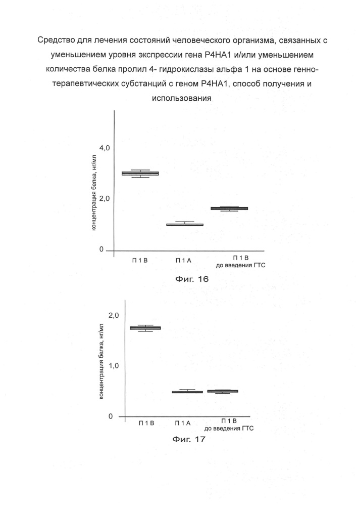 Средство для лечения состояний человеческого организма, связанных с уменьшением уровня экспрессии гена р4на1 и/или уменьшением количества белка пролил 4- гидрокислазы альфа 1 на основе генно-терапевтических субстанций с геном р4на1, способ получения и использования (патент 2658428)