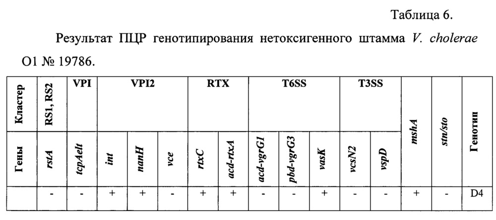 Способ идентификации нетоксигенных штаммов холерных вибрионов о1 серогруппы с помощью пцр для выделения генетических детерминант (патент 2665542)