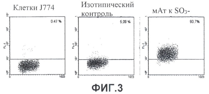 Антитела к сульфатидам и сульфатированным протеогликанам и их применение (патент 2502744)