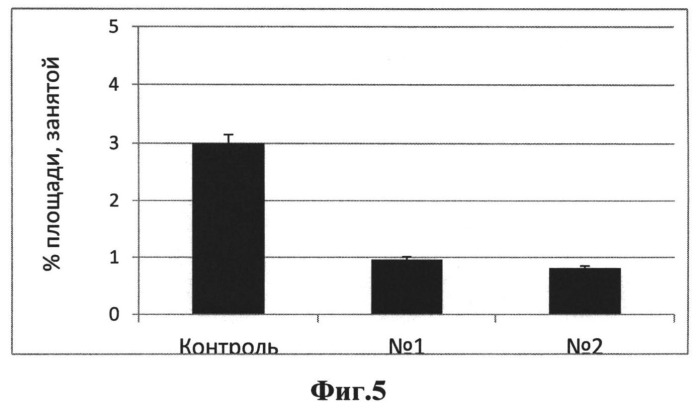 Производные фенотиазинсодержащих 1,2,3,4-тетрагидропиридо[4,3-b]индолов в качестве средства для снижения неконтролируемой агрегации белков в нервной системе, способы их получения, фармакологическое средство на их основе и способ снижения неконтролируемой агрегации белков в нервной системе (патент 2529899)