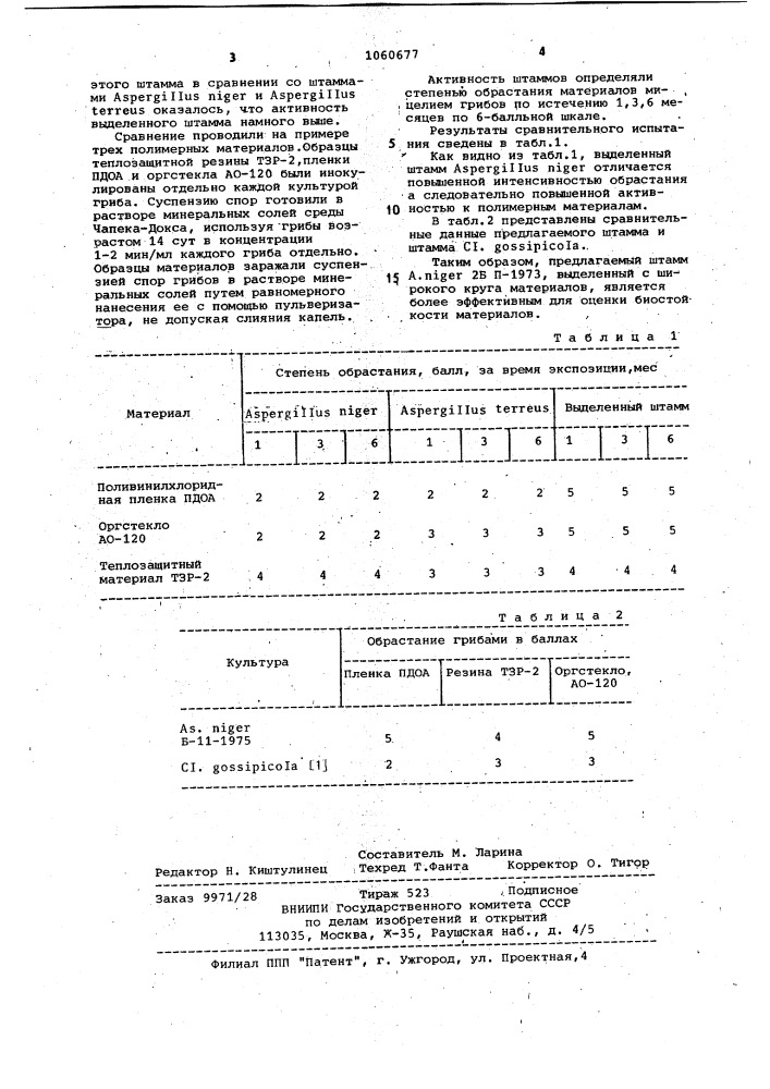 Штамм гриба @ @ 2б @ -1973,используемый для оценки стойкости полимерных материалов (патент 1060677)