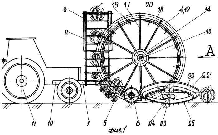 Подборщик плодов бахчевых культур (патент 2317672)