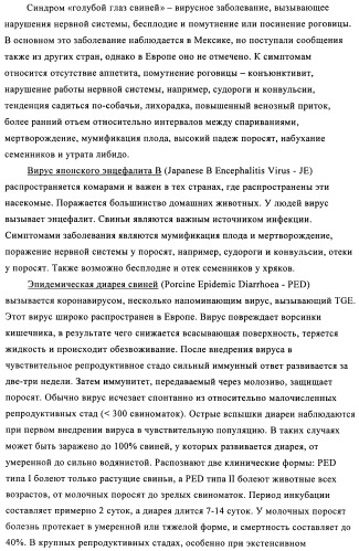 Поливалентные иммуногенные композиции pcv2 и способы получения таких композиций (патент 2488407)