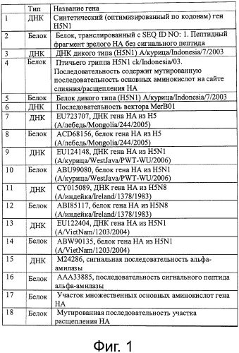Рекомбинантная вакцина от птичьего гриппа и её применение (патент 2559527)