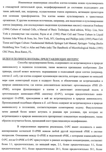 Система экспрессии компонентов ортогональной трансляции в эубактериальной клетке-хозяине (патент 2467069)
