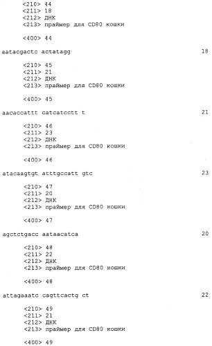 Нуклеиновые кислоты, кодирующие рецептор ctla-4 кошки, вектор, клетки-хозяева, вакцины, олигонуклеотиды, полипептиды ctla-4 кошки и способы индукции и подавления иммунного ответа у кошки (патент 2377302)
