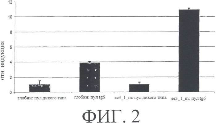 Ее3-семейство белков и соответствующие днк-последовательности (патент 2333918)