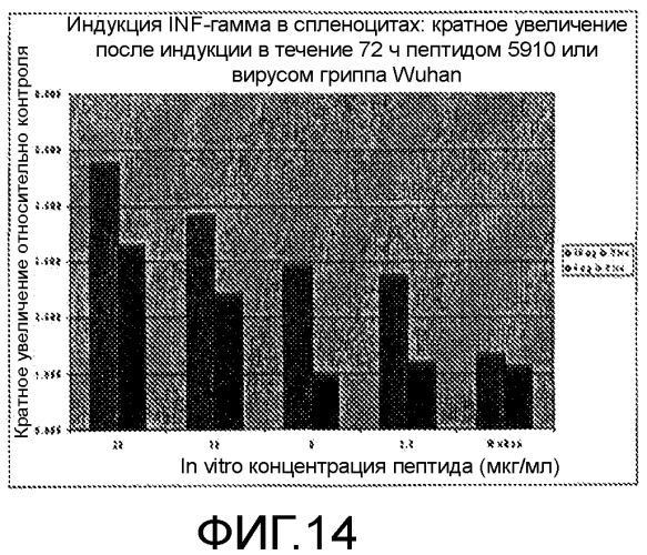 Иммуногенные композиции и способы (патент 2468034)
