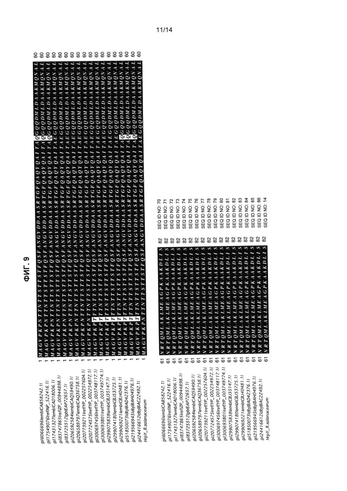 Устойчивые к бактериям трансгенные растения (патент 2640246)
