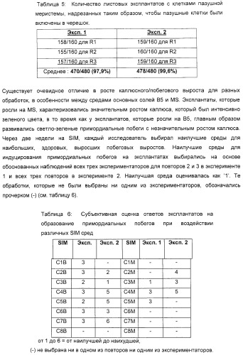 Улучшенная трансформация сои (патент 2389797)