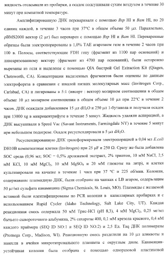 Способ получения ингибиторов дипептидилпептидазы iv и их производных (патент 2373194)
