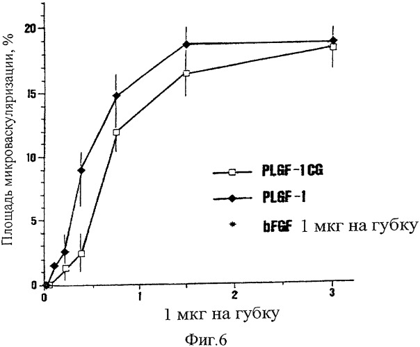 Мутеины плацентарного фактора роста 1 типа, способ их получения и применение (патент 2344172)