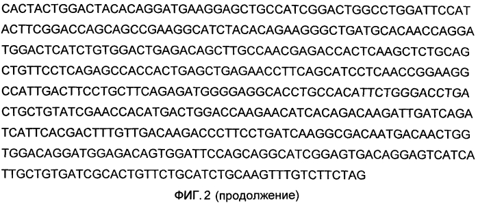 Иммунобиологическое средство и способ его использования для индукции специфического иммунитета против вируса эбола (варианты) (патент 2578160)