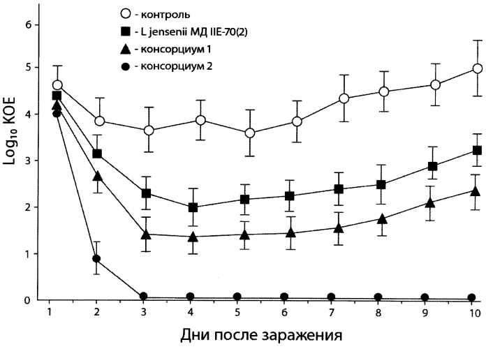 Штамм бактерий lactobacillus jensenii, обладающий широким спектром антагонистической активности и пробиотический консорциум лактобактерий для изготовления бактериальных препаратов (патент 2572351)