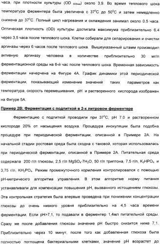 Фармацевтический препарат и способ лечения злокачественных опухолей у человека с помощью аргининовой депривации (патент 2335539)