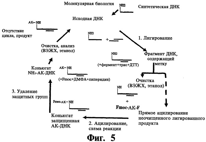 Соединение, содержащее кодирующий олигонуклеотид, способ его получения, библиотека соединений, способ ее получения, способ идентификации соединения, связывающегося с биологической мишенью (варианты) (патент 2459869)