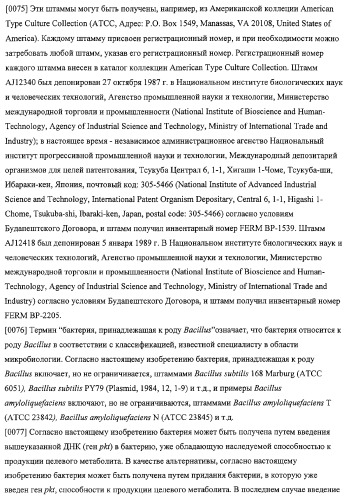 Использование фосфокетолазы для продукции полезных метаболитов (патент 2322496)