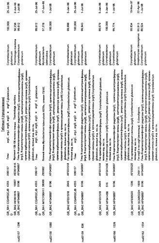 Гены corynebacterium glutamicum, кодирующие белки метаболических путей (патент 2306339)