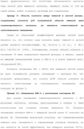 Антитела против вируса гепатита с (патент 2462475)