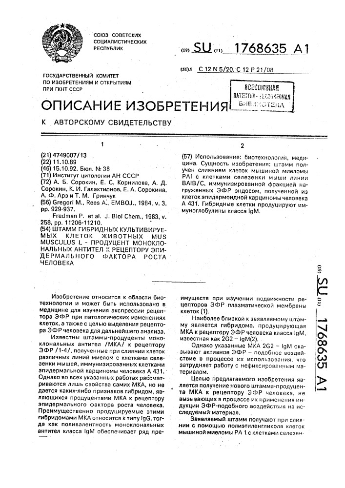 Штамм гибридных культивируемых клеток животных mus мusсulus l - продуцент моноклональных антител к рецептору эпидермального фактора роста человека (патент 1768635)