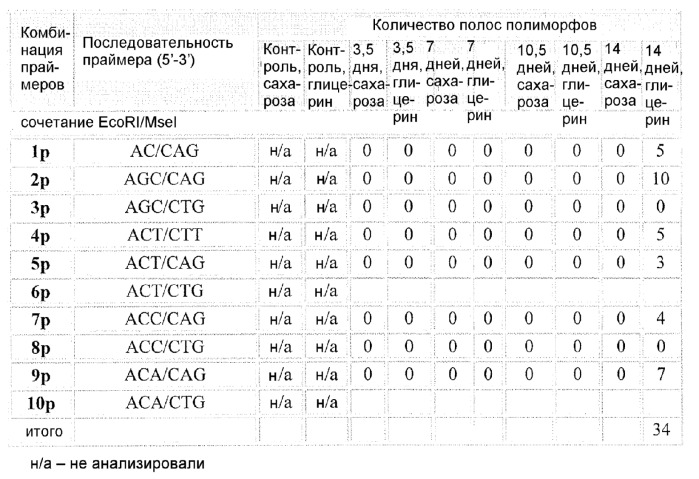 Способы in vitro для создания и поддержания линий растительных клеток в виде отдельных клеток в суспензии с интактными клеточными стенками и их трансформации (патент 2451744)