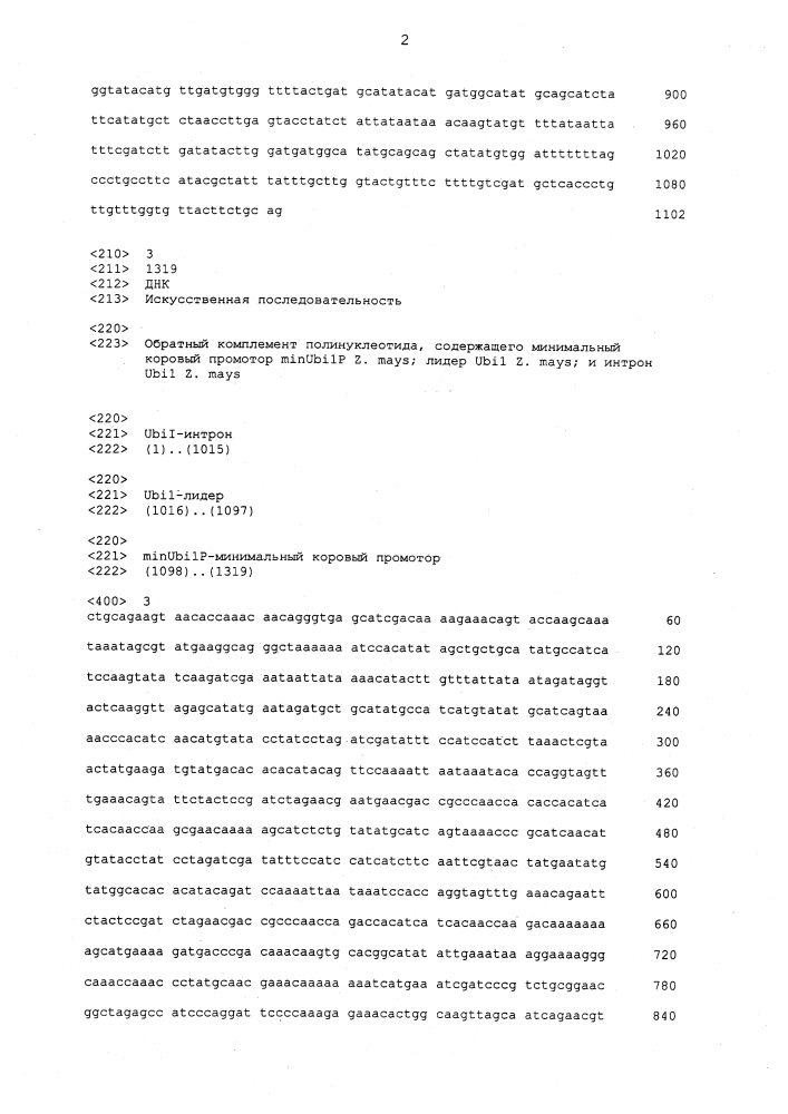 Конструкция и способ конструирования синтетического двунаправленного растительного промотора ubi1 (патент 2639538)