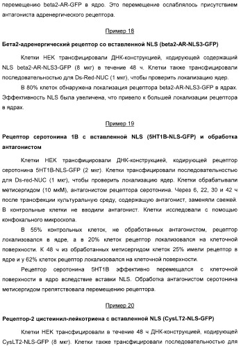 Способ идентификации соединений, взаимодействующих с трансмембранными белками (патент 2326166)