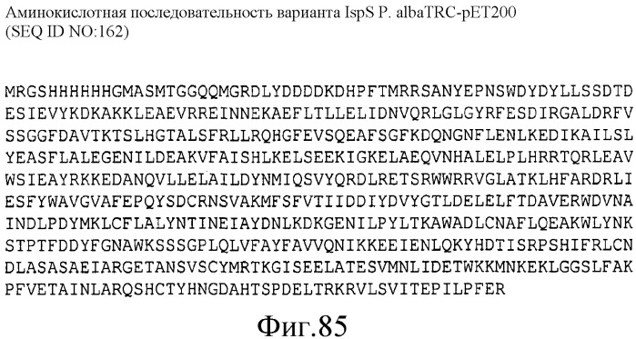 Варианты изопренсинтазы, применяемые для улучшения продуцирования изопрена микроорганизмами (патент 2516343)
